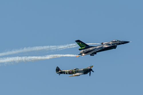 11 - Spitfire  Dream Viper-10