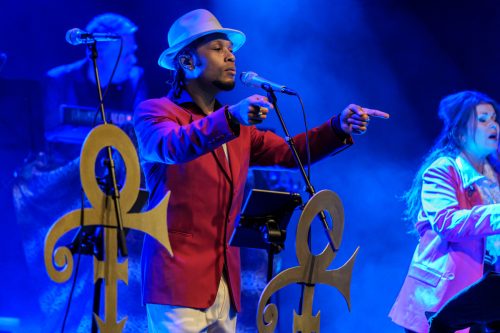 The Beautiful Ones - Daniel Frissen-39