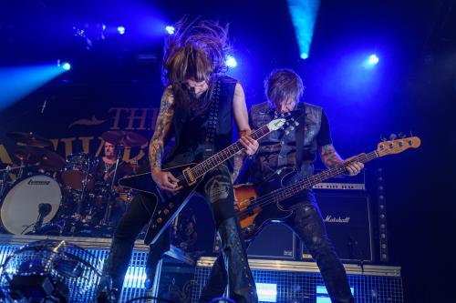 The New Roses - Cologne 14.11.2024-18