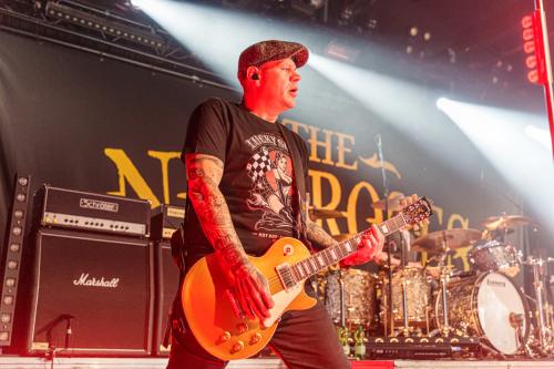 The New Roses - Cologne 14.11.2024-25