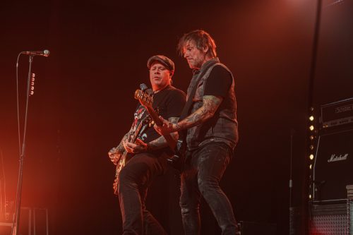 The New Roses - Cologne 14.11.2024-32