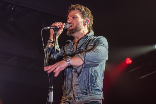 The New Roses - Cologne 14.11.2024-48