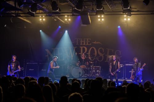The New Roses - Cologne 14.11.2024-50