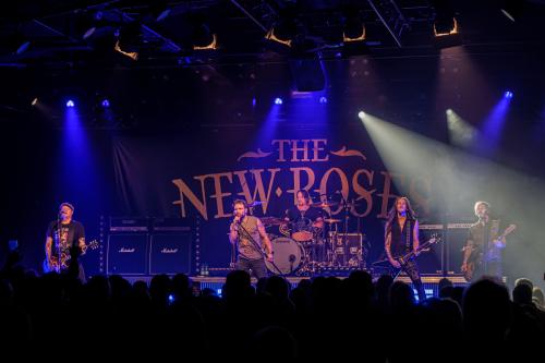 The New Roses - Cologne 14.11.2024-51