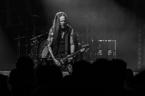 The New Roses - Cologne 14.11.2024-53