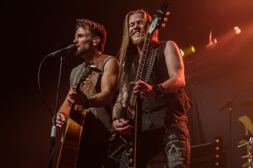 The New Roses - Cologne 14.11.2024-57
