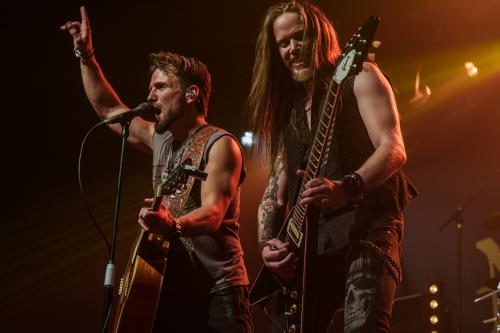 The New Roses - Cologne 14.11.2024-58
