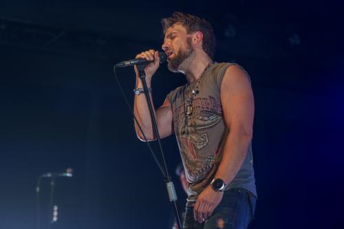 The New Roses - Cologne 14.11.2024-61