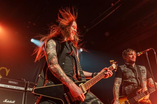 The New Roses - Cologne 14.11.2024-7